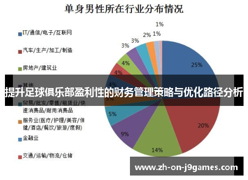 提升足球俱乐部盈利性的财务管理策略与优化路径分析